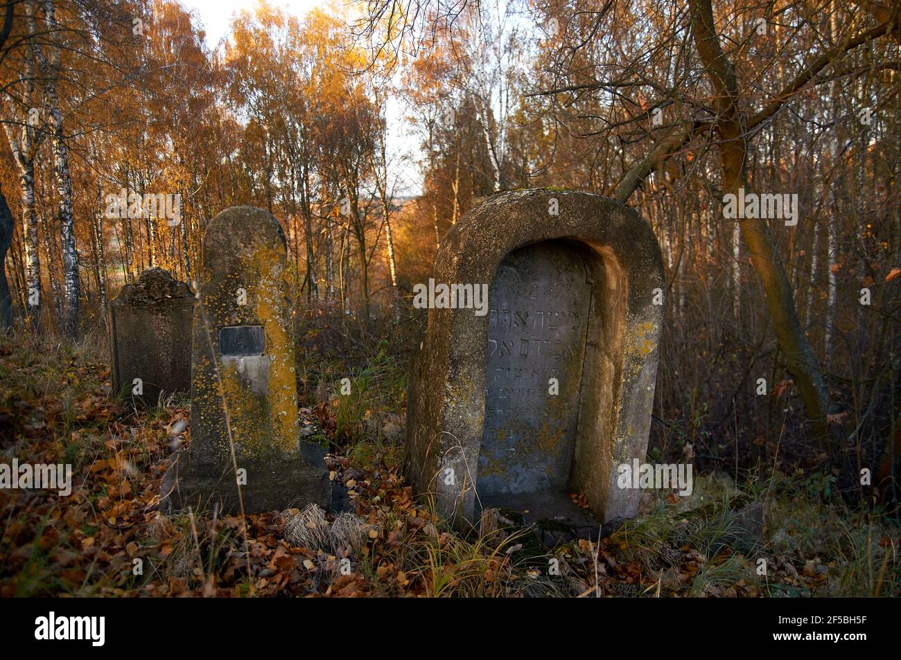 Abandoned Jewish cemetery autumn time in Eastern Belarus Stock Photo ...