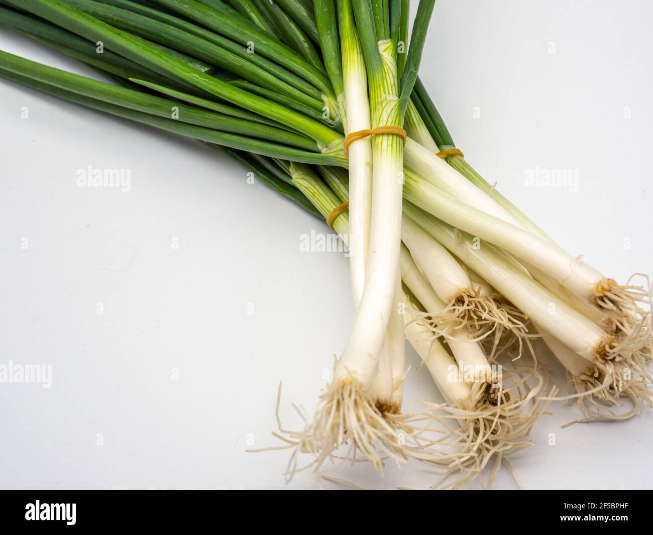 Closeup of fresh welsh onions on a gray surface under the lights Stock Photo