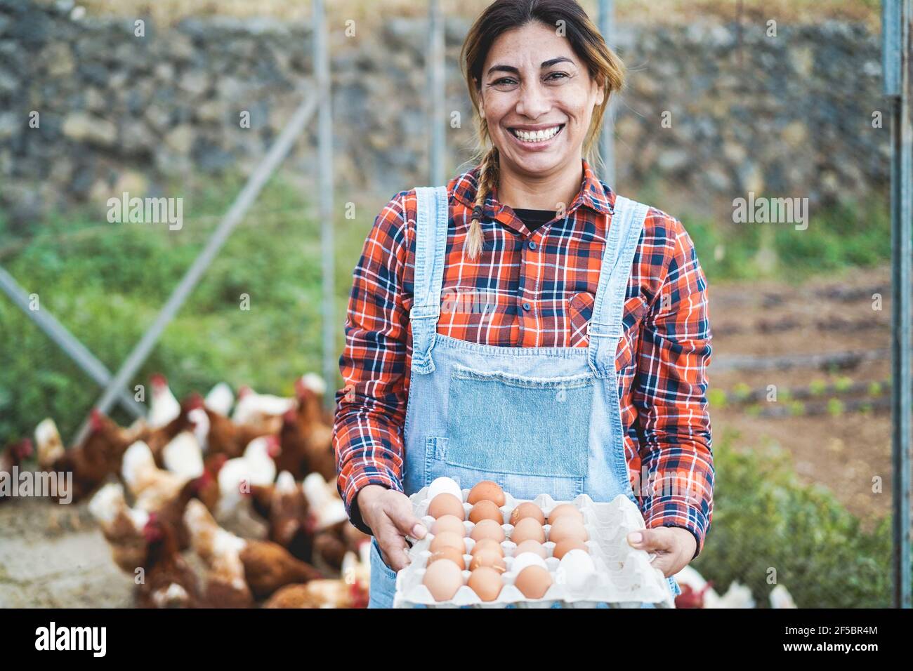 Senior farmer woman picking up organic eggs in henhouse Farm lifestyle and healthy food