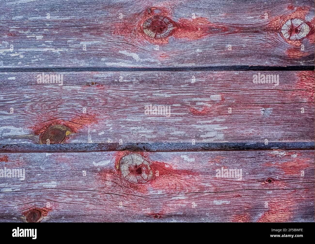 Purple texture of an old wooden fence with abstract pattern, background board. Stock Photo