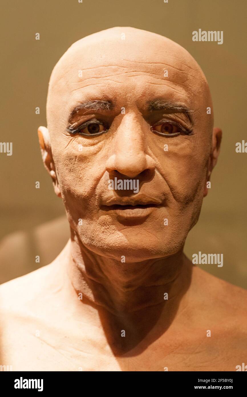 Facial reconstruction of the Nespamedu mummy. Platinum silicone. Author Juan Villa Herrero, 2016 Stock Photo