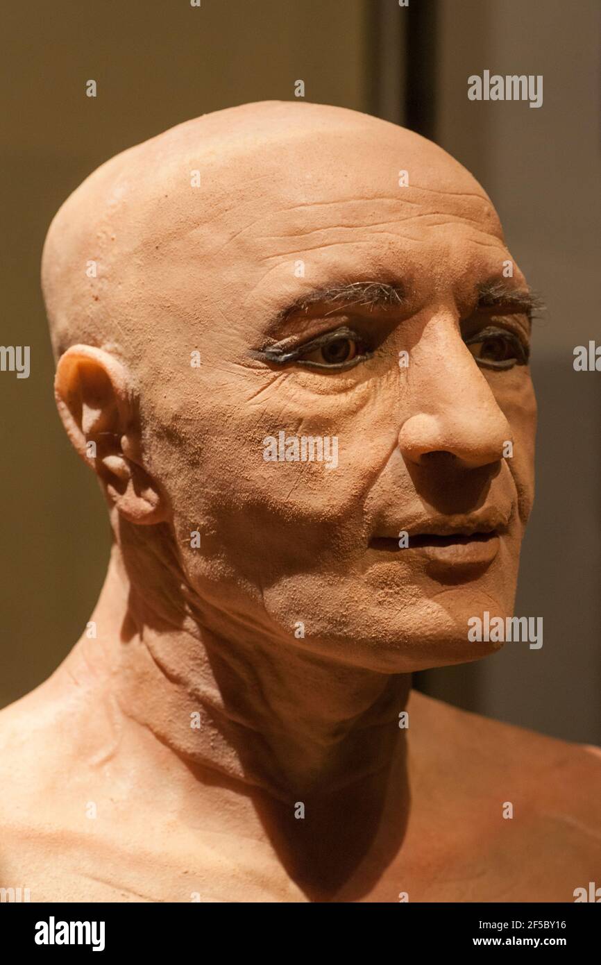 Facial reconstruction of the Nespamedu mummy. Platinum silicone. Author Juan Villa Herrero, 2016 Stock Photo