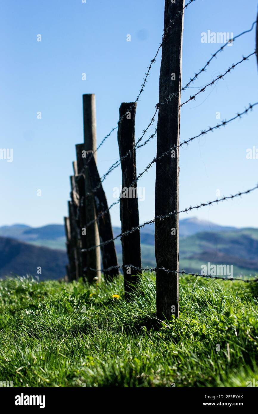 Stick and wire fence hi-res stock photography and images - Alamy