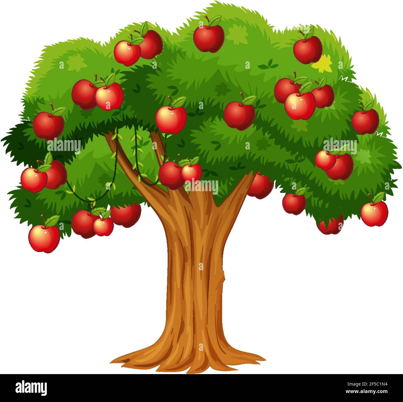 Apple tree isolated on white background illustration Stock Vector Image