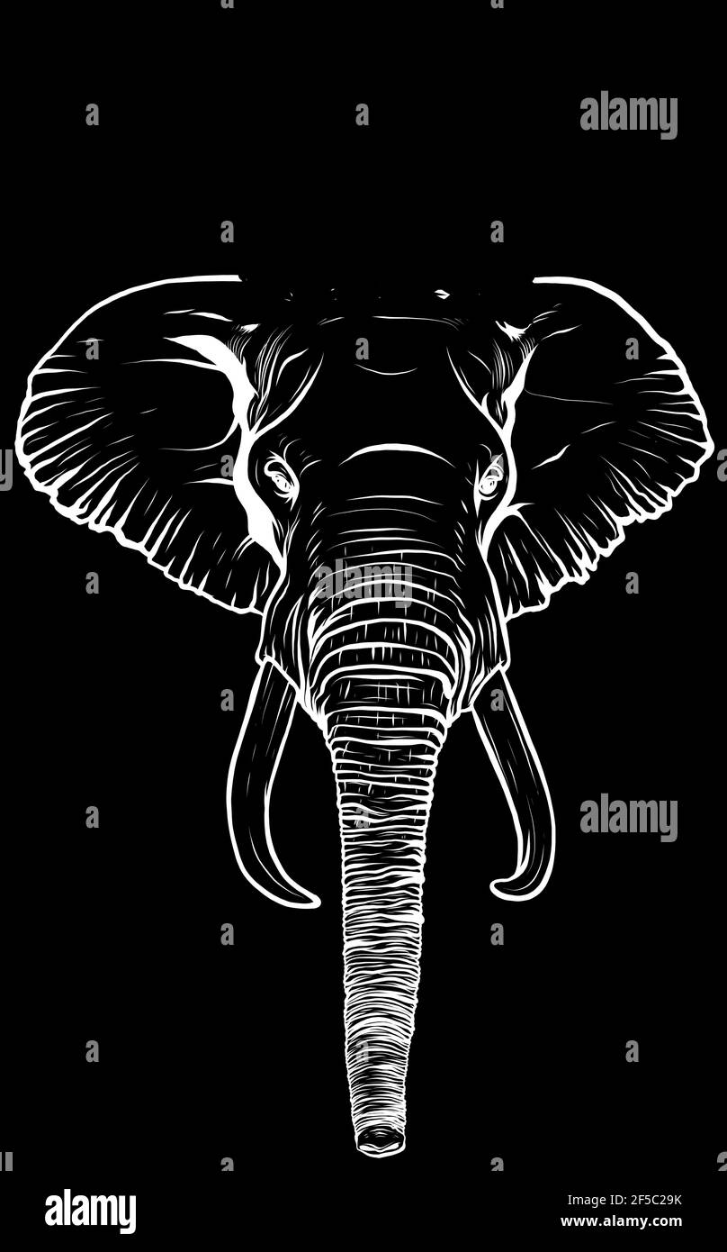 Elephants Black And White Wallpaper