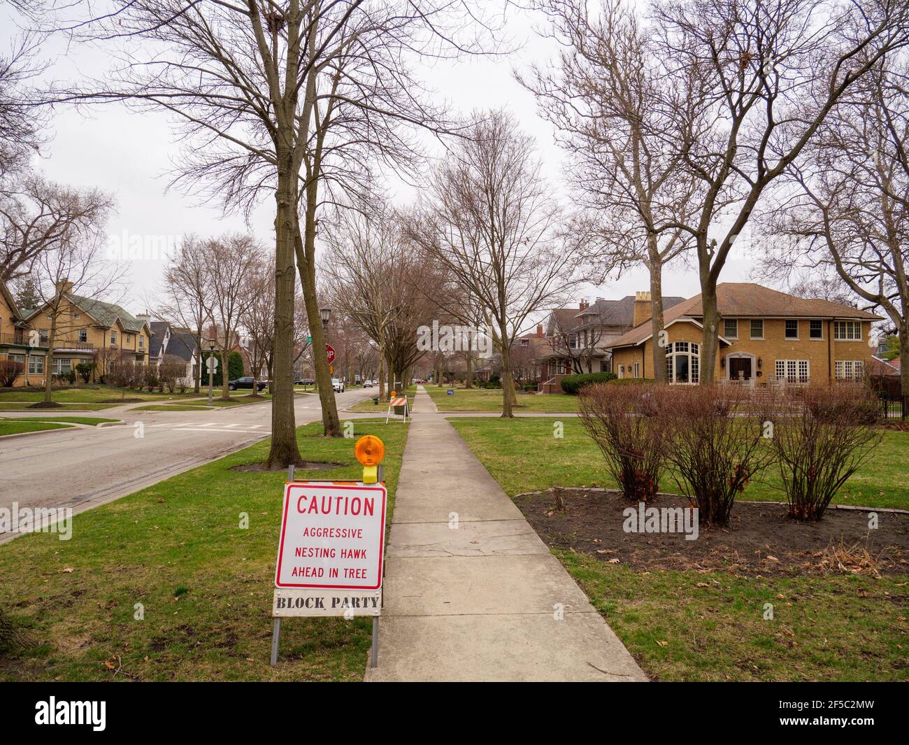 River Forest, Illinois, USA. 25th March 2021. An aggressive pair of