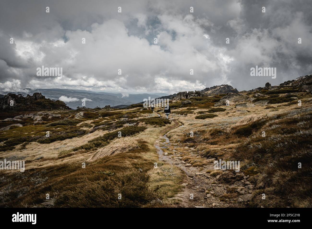 Panoramic views of the Kosciuszko National Park walking the start of the Dead Horse Gap Track. Stock Photo