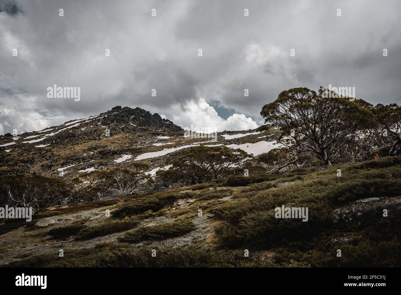Panoramic views of the Kosciuszko National Park walking the start of