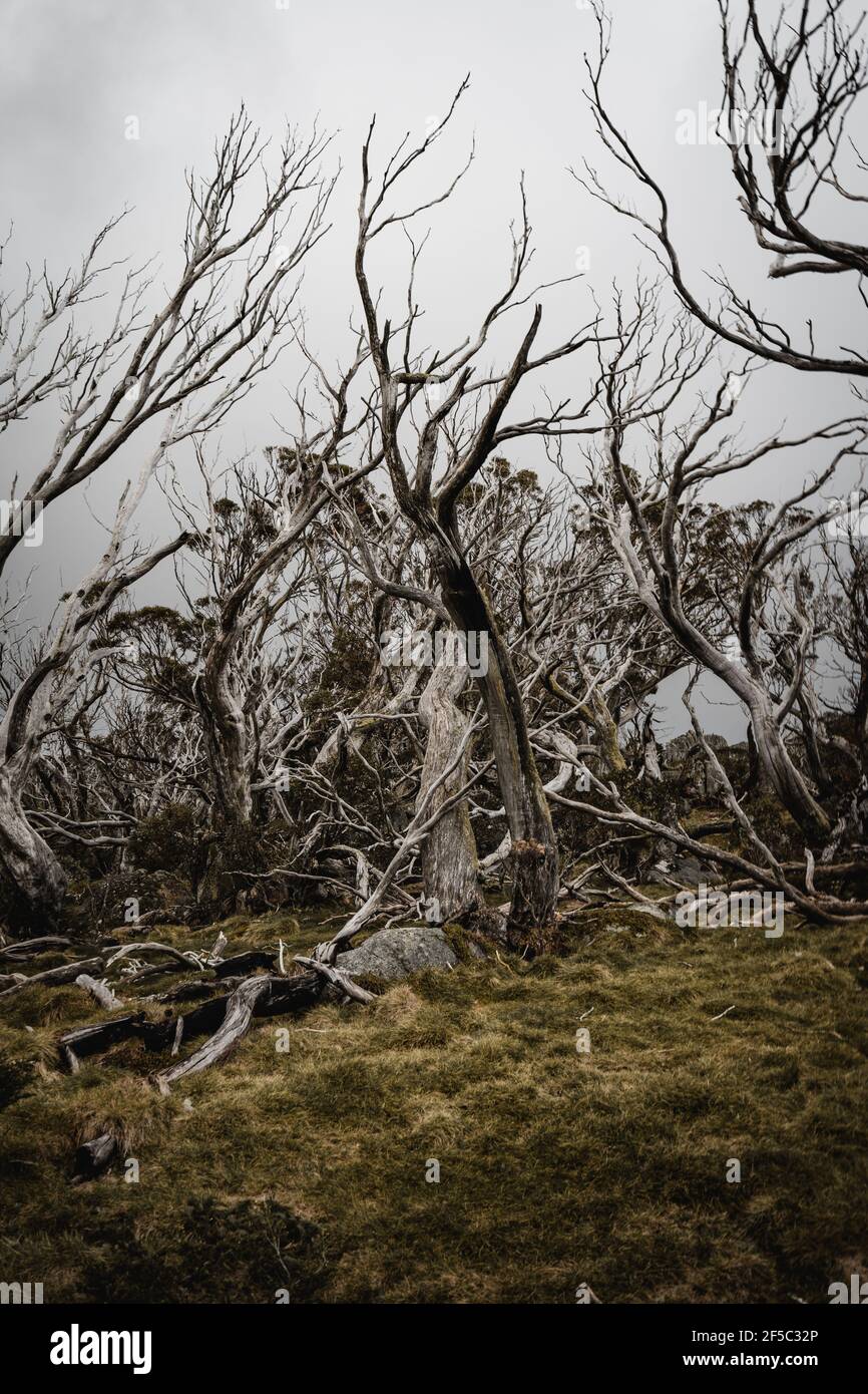 Dead horse gap australia hires stock photography and images Alamy