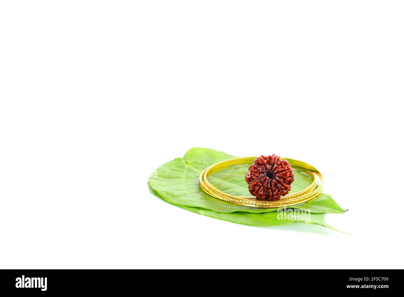 Seven faced rudraksham for health, wealth and prosperity on betel leaf Stock Photo