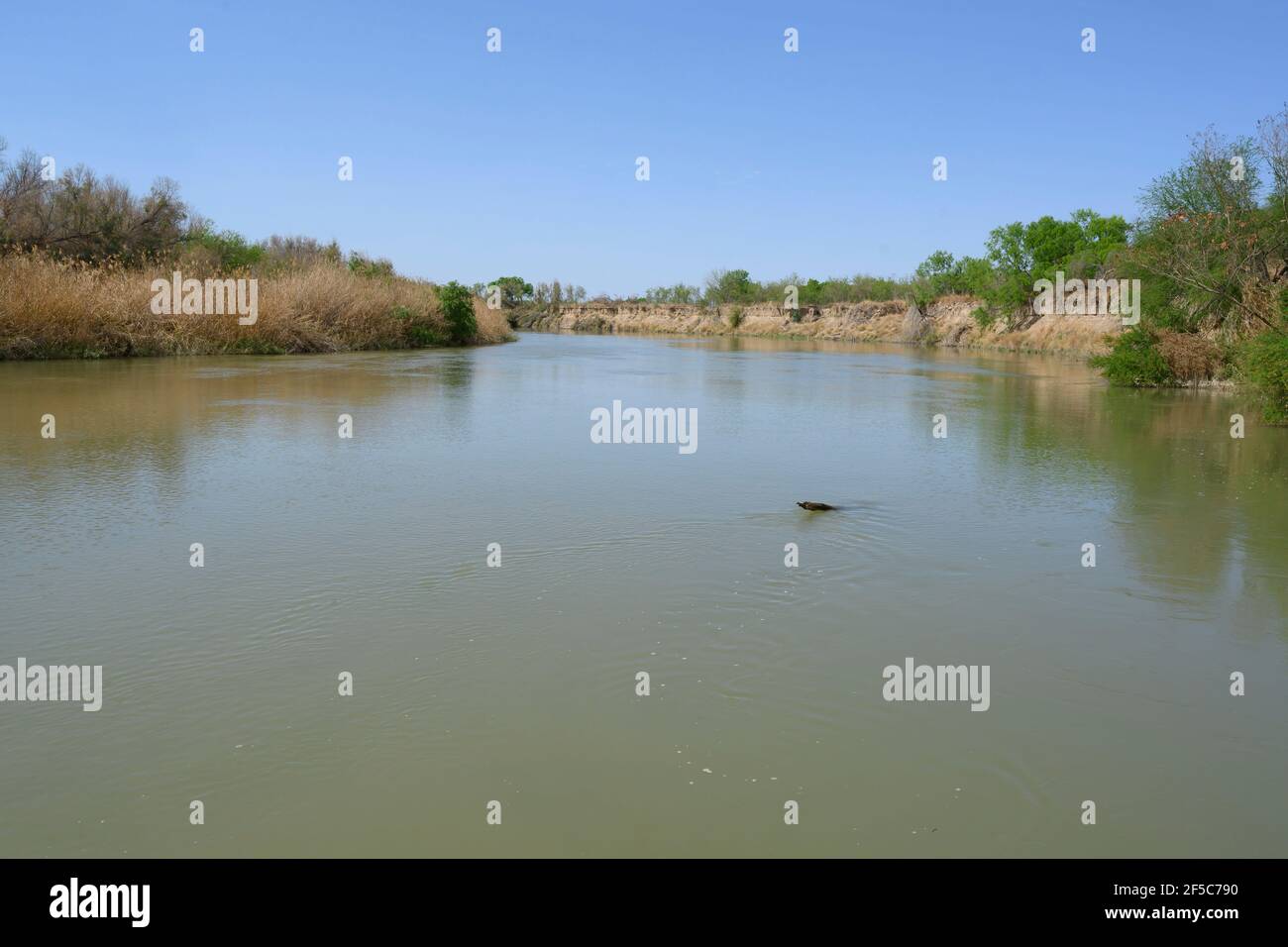 Los Ebanos, Texas, USA. 25th Mar, 2021. Photo of the Rio Grande looking