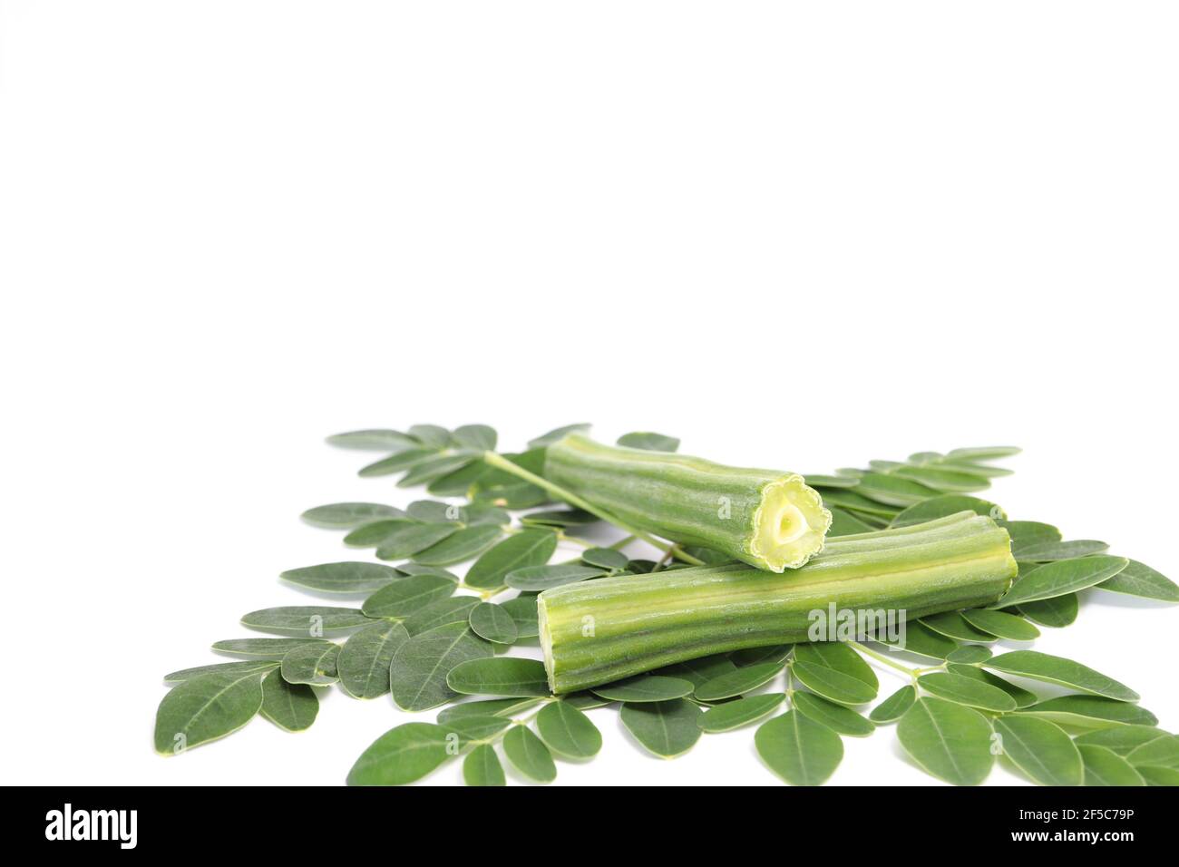 Moringa oleifera isolated on white background Stock Photo