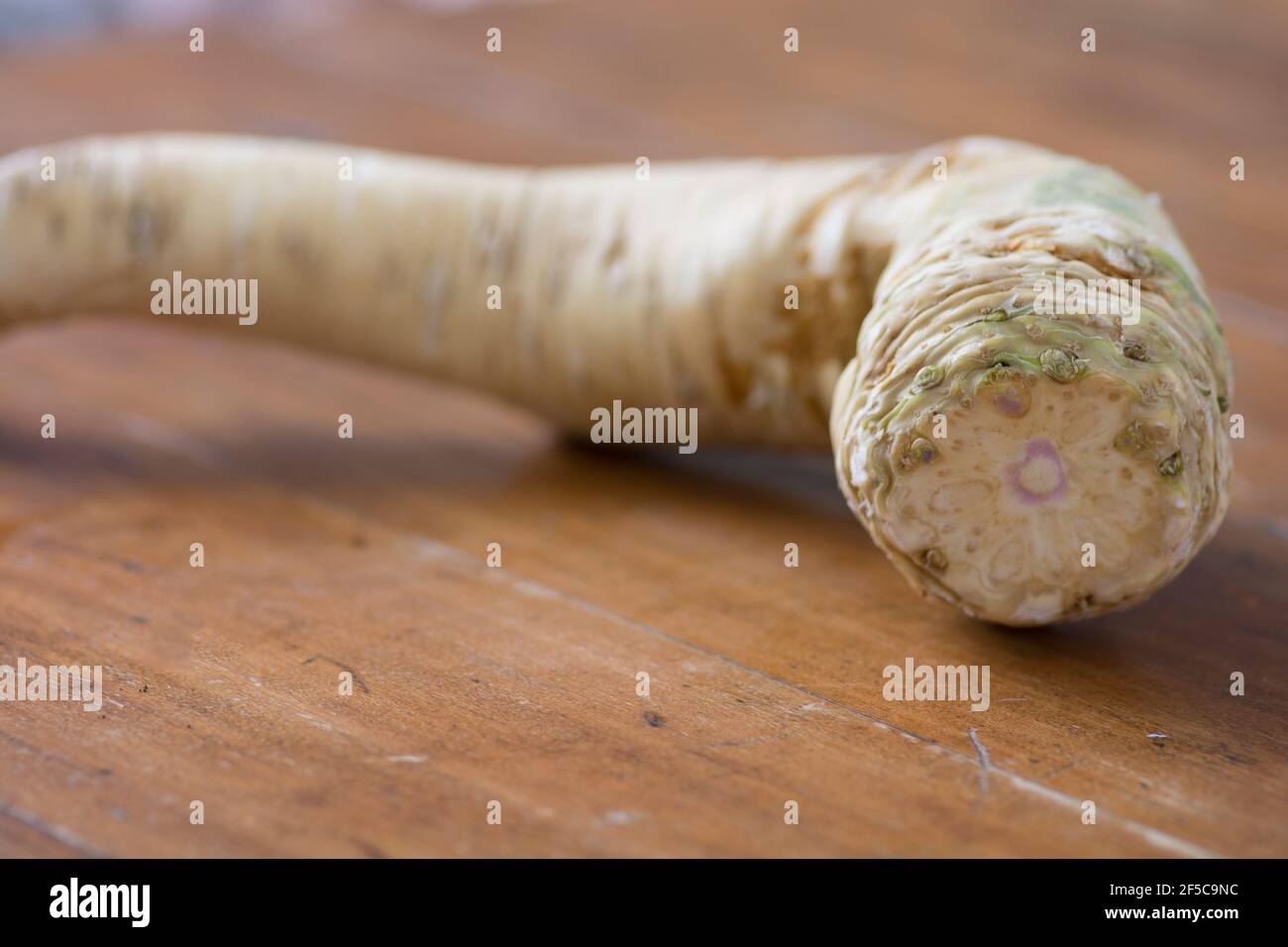 Close up of an Horseradish (Armoracia rusticana, syn. Cochlearia