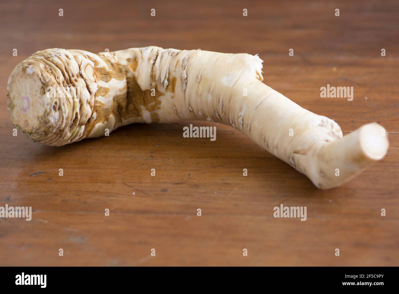 Close up of an Horseradish (Armoracia rusticana, syn. Cochlearia armoracia) root vegetable, cultivated and used worldwide as a spice and as a condimen Stock Photo