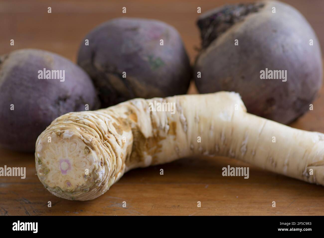 Close up of an Horseradish (Armoracia rusticana, syn. Cochlearia armoracia) a root vegetable, cultivated and used worldwide as a spice Stock Photo