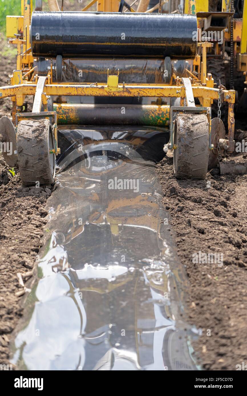 Tractor with agricultural equipment in the same pass dispenses fertilizer, lays down irrigation lines and rolls out a continuous of mulch plastic Stock Photo