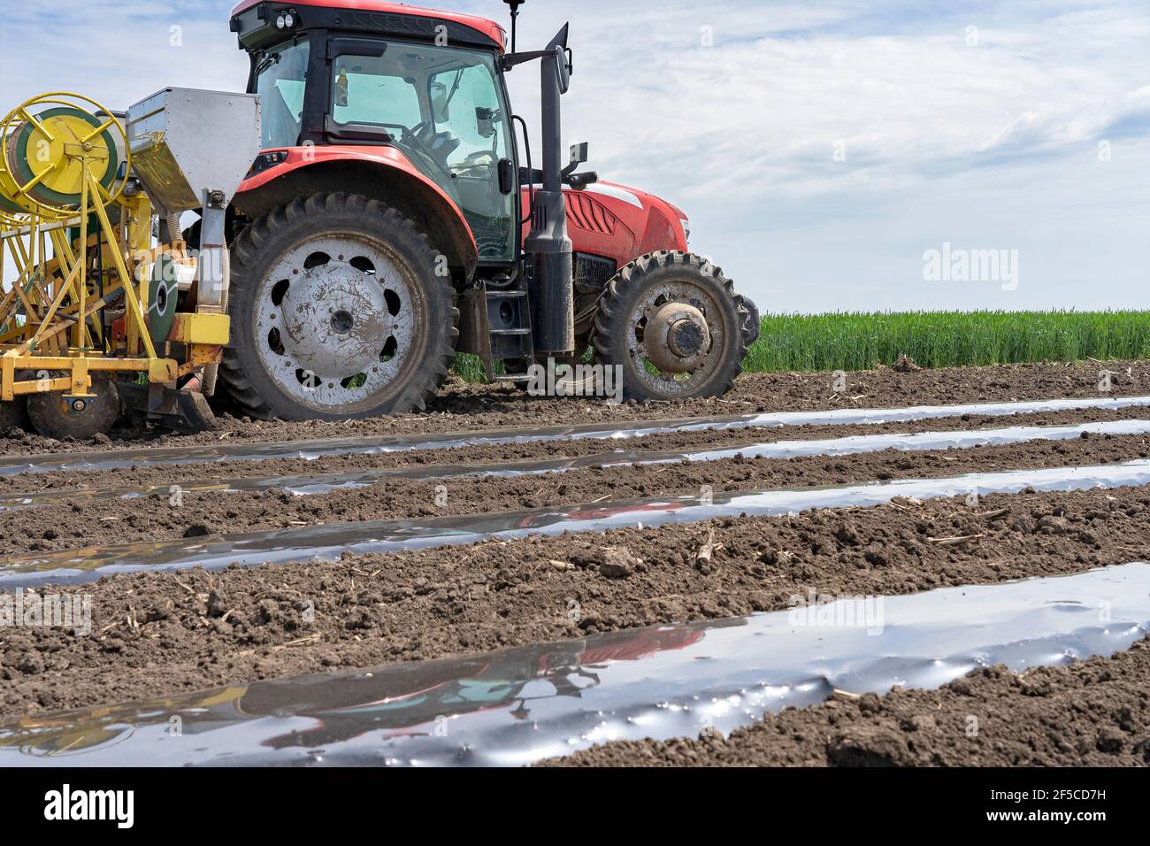 Tractor with agricultural equipment in the same pass dispenses fertilizer, lays down irrigation lines and rolls out a continuous of mulch plastic. Stock Photo