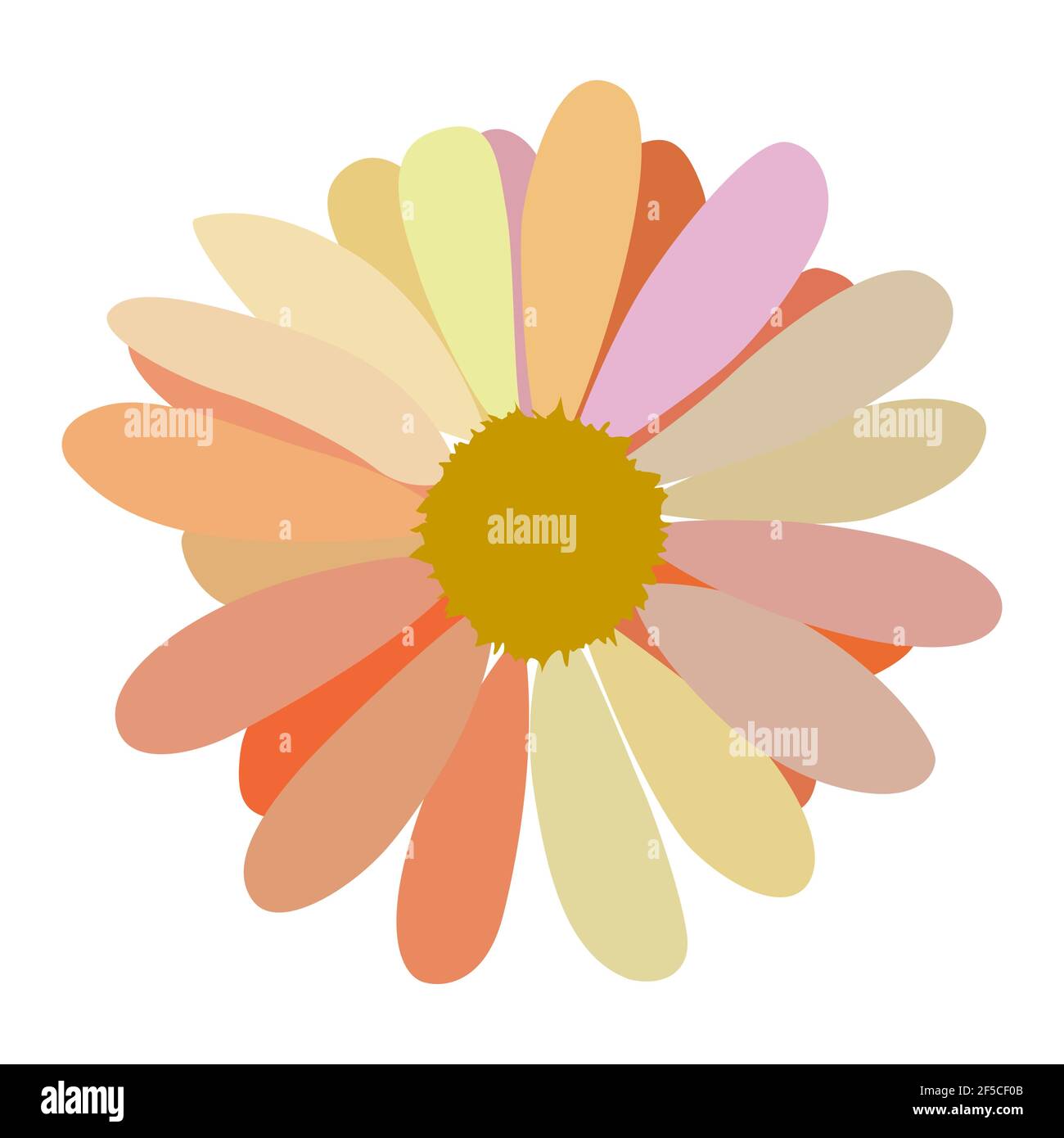 Blossoming daisy flower Stock Vector Images - Alamy