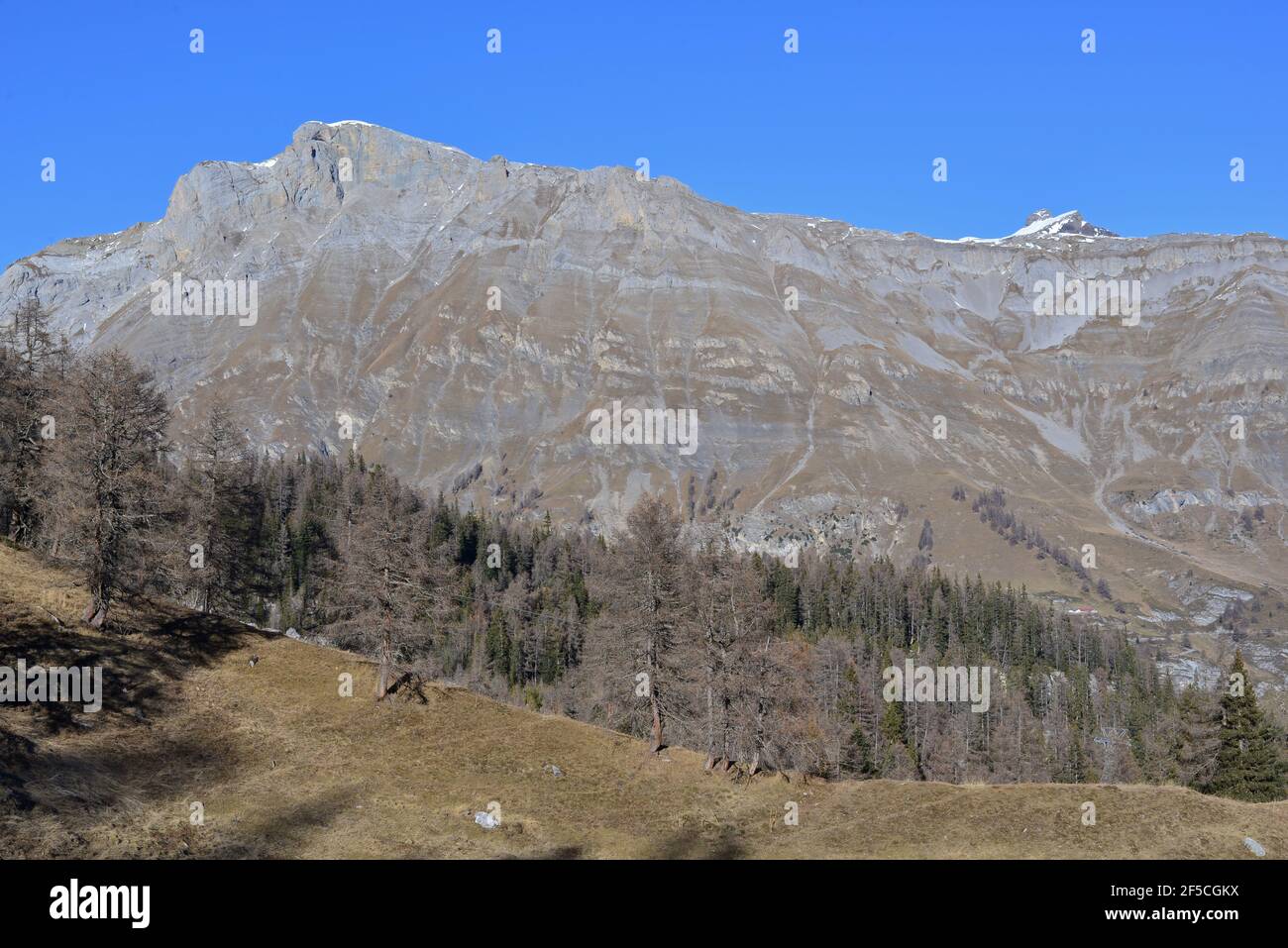 The rocky limestone cliffs of the Wetzsteinhorn above the mountain ...