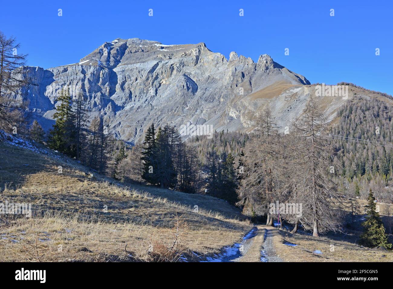 The rocky limestone cliffs of the Wetzsteinhorn above the mountain ...