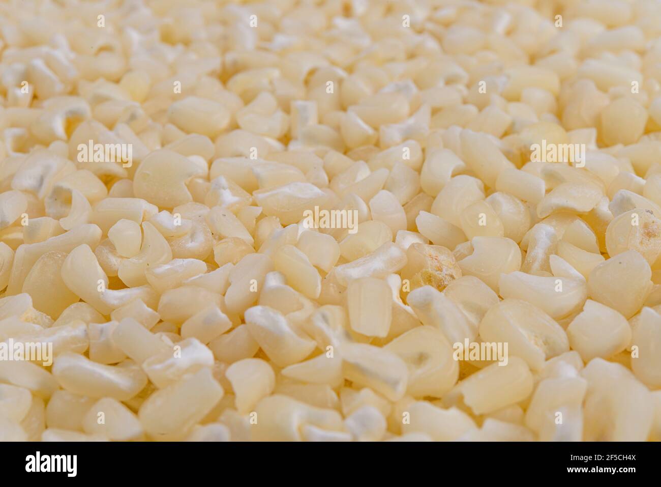 White corn kernels hires stock photography and images Alamy
