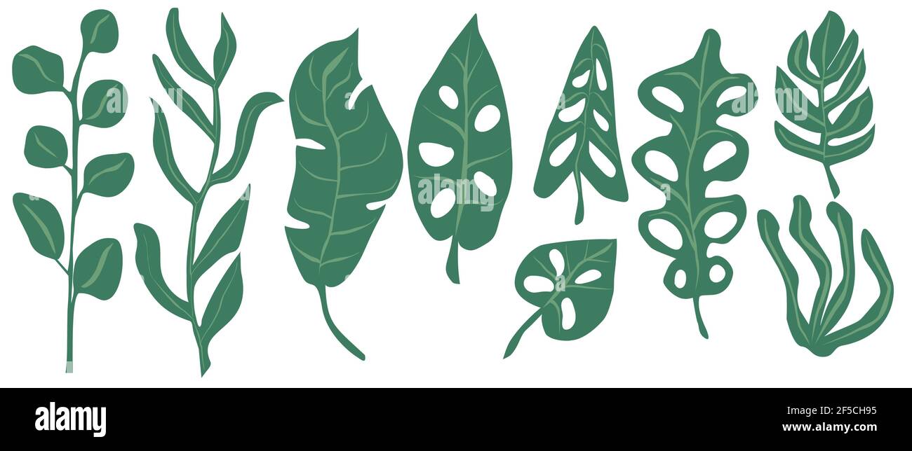 Green leaves set on white background vector illustration Stock Vector ...