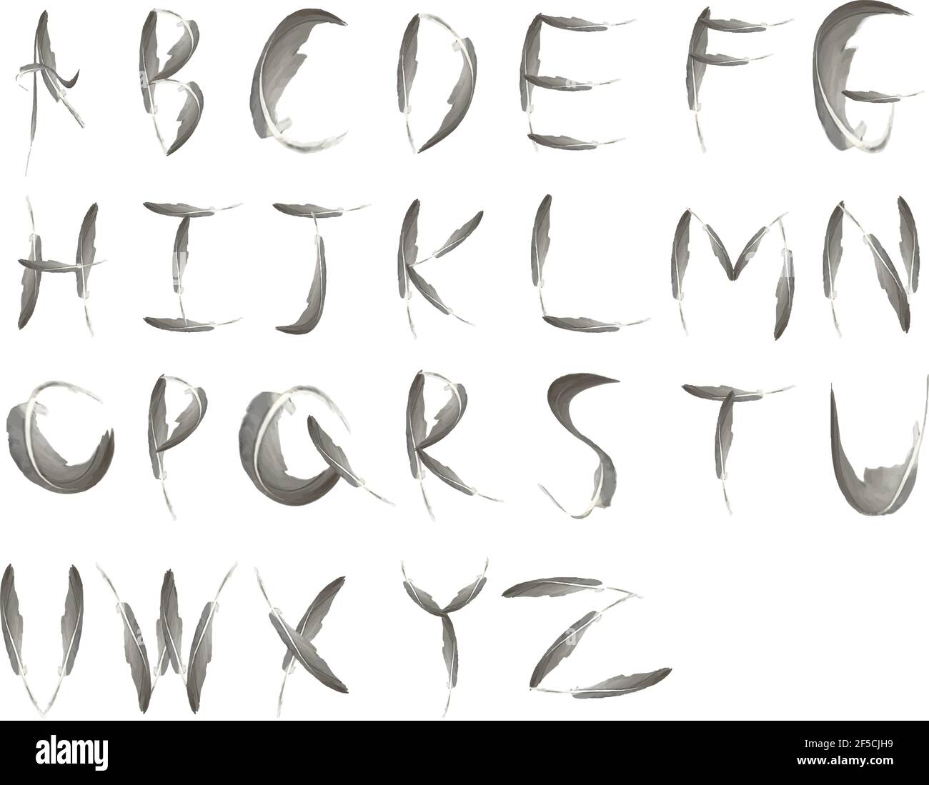 Feather Alphabet Vector Design Letter ABC Typeface Design Typography