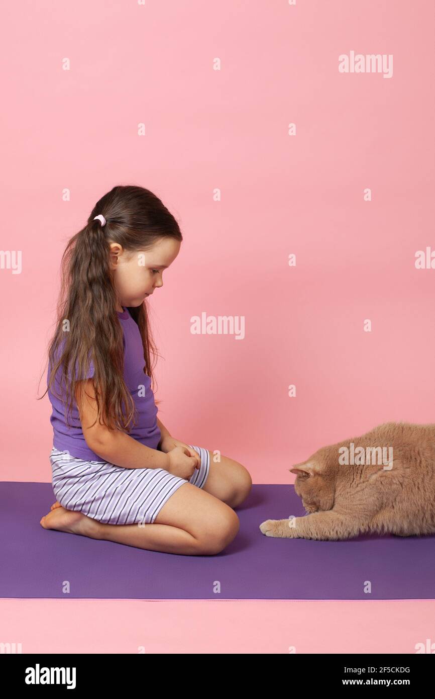 a red-haired British cat reaches out with its paw to a five-year-old girl sitting on her lap on a purple sports mat, isolated on a pink background Stock Photo