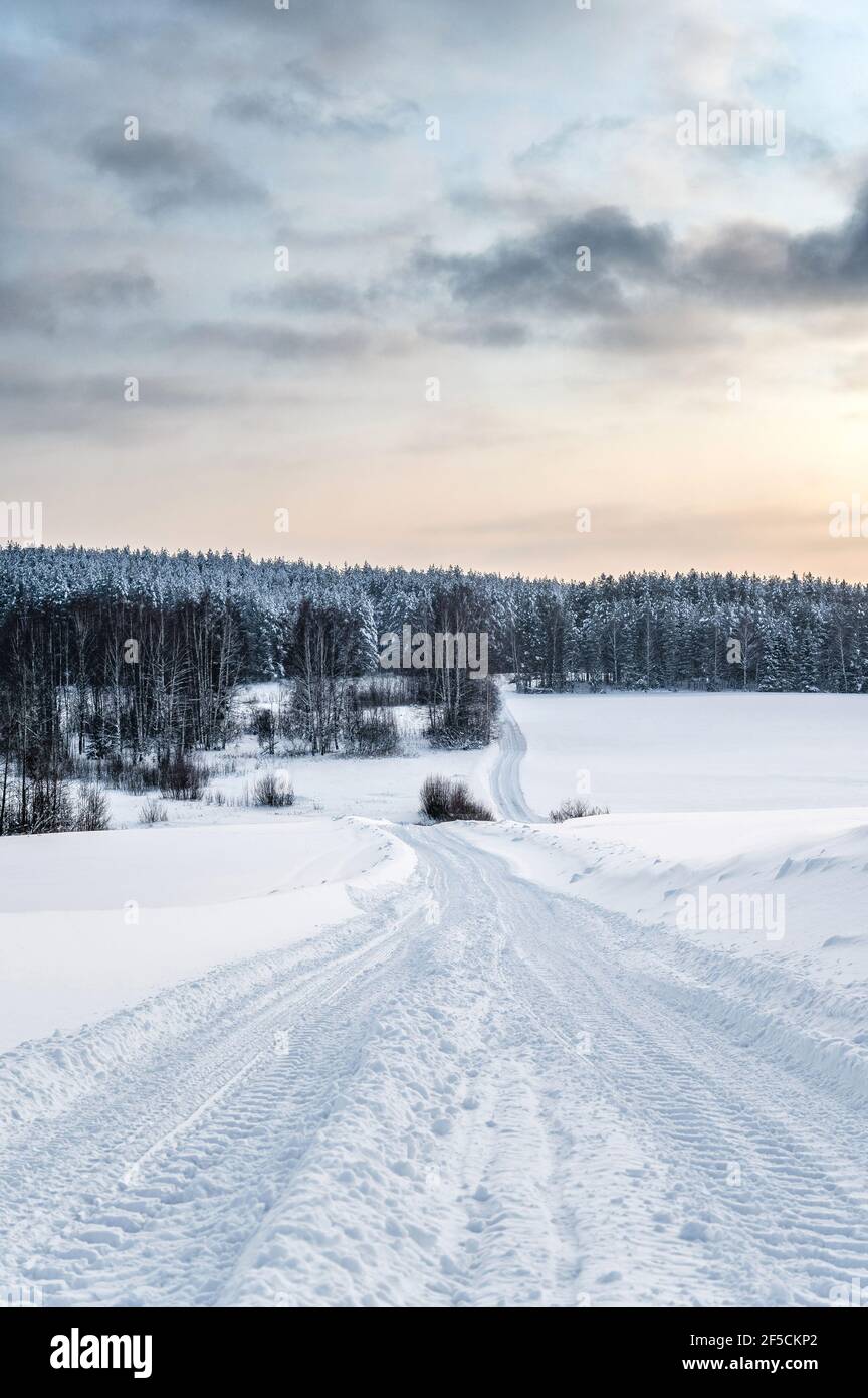 Winter landscape, road in forest after snowfall and north nature Stock Photo