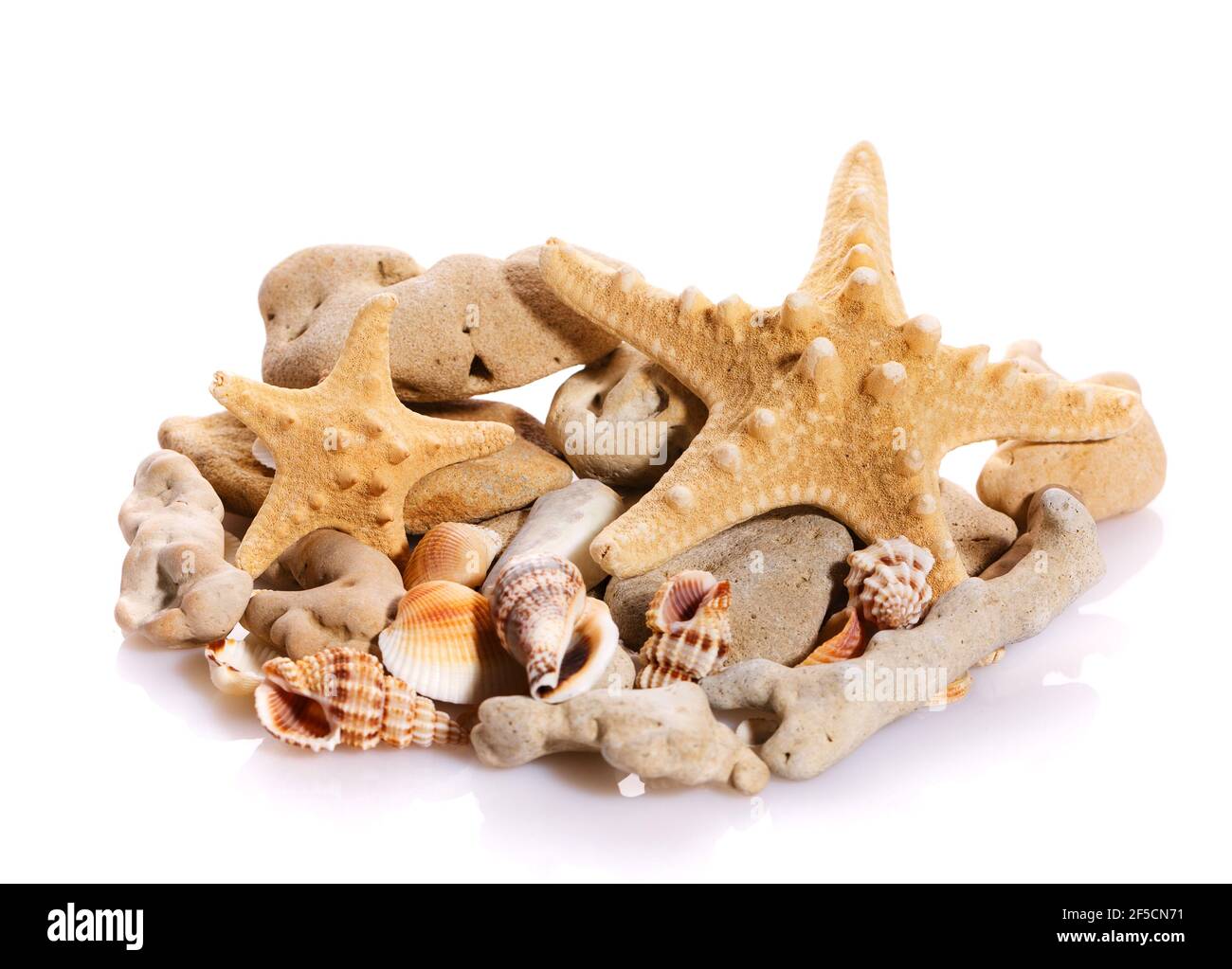 Seashells, pebbles and starfish stacked together on a white background. Natural materials. Stock Photo
