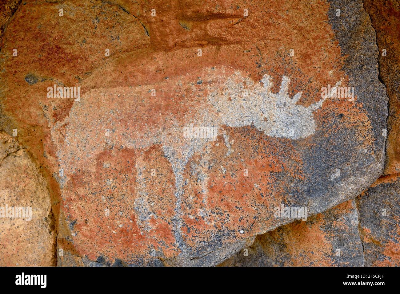 geography/travel, Namibia, rock engraving of a rhinoceros in the De Riet cave, at De Riet, Kunene are, Additional-Rights-Clearance-Info-Not-Available Stock Photo