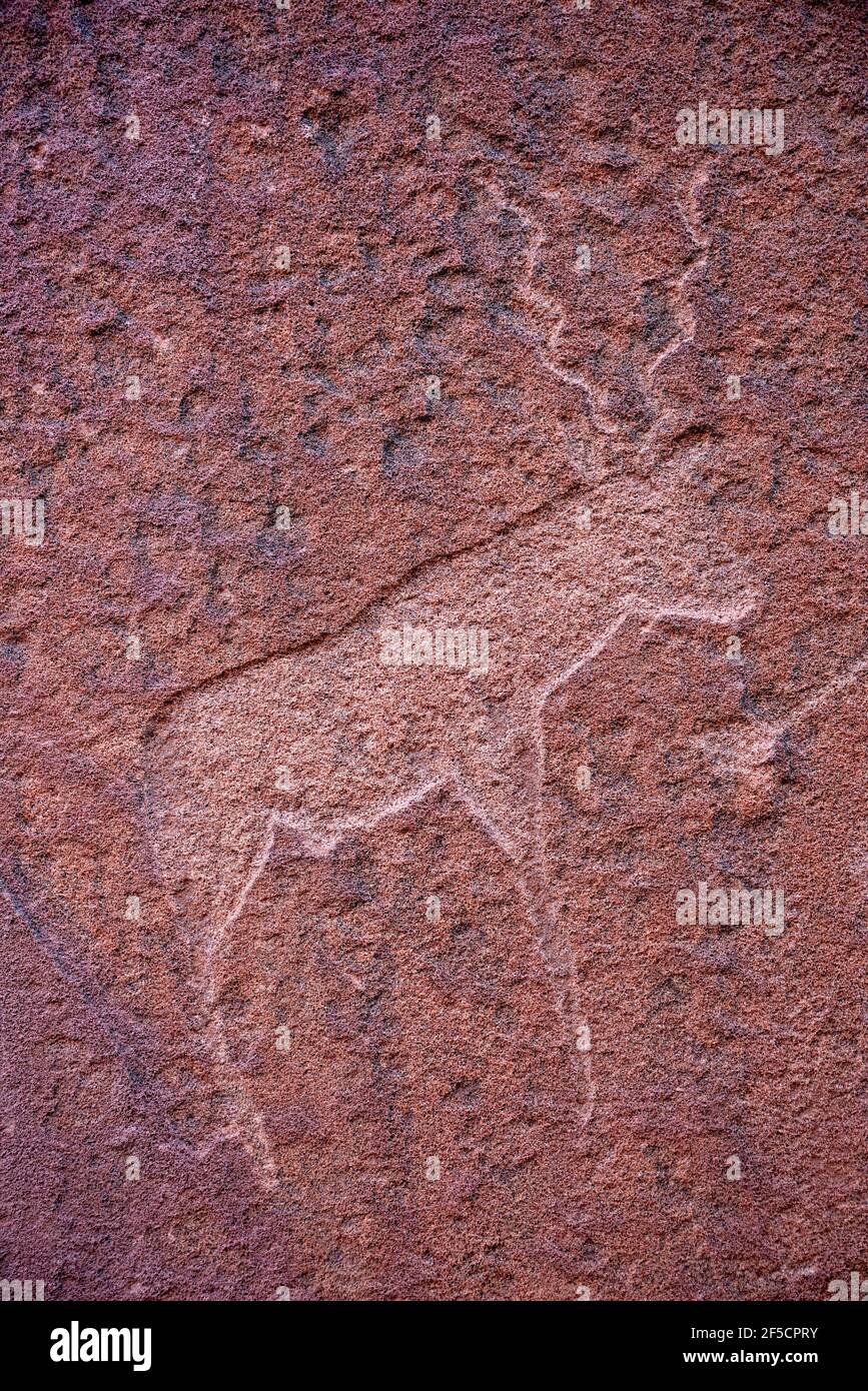geography / travel, Namibia, rock engraving of the kudu with the curved horn, Twyfelfontein, UNESCO Wo, Additional-Rights-Clearance-Info-Not-Available Stock Photo