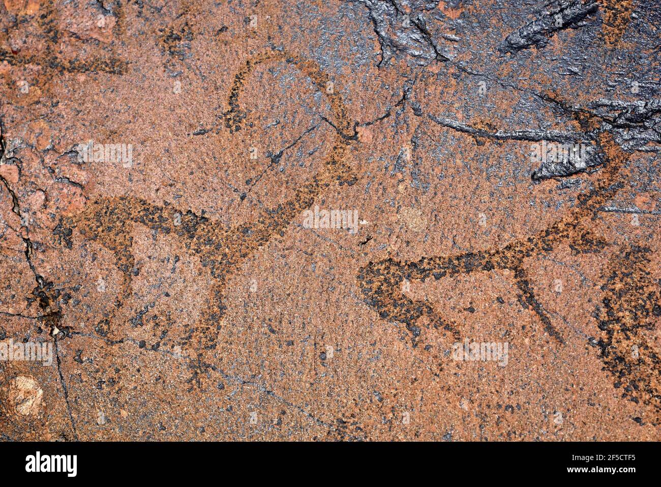 geography / travel, Kyrgyzstan (Kirgizia, circa 2500 old petroglyph by Sibirischen ibex ( Capra sibi, Additional-Rights-Clearance-Info-Not-Available Stock Photo