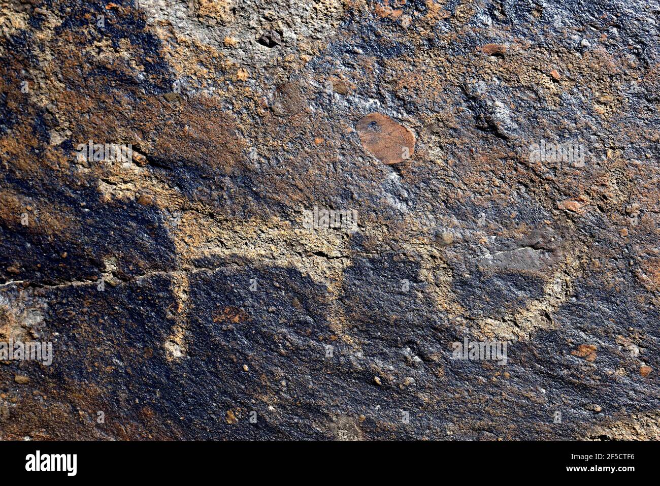 geography / travel, Kyrgyzstan (Kirgizia, circa 2500 old petroglyph of a Schneeleoparden ( Panthera , Additional-Rights-Clearance-Info-Not-Available Stock Photo
