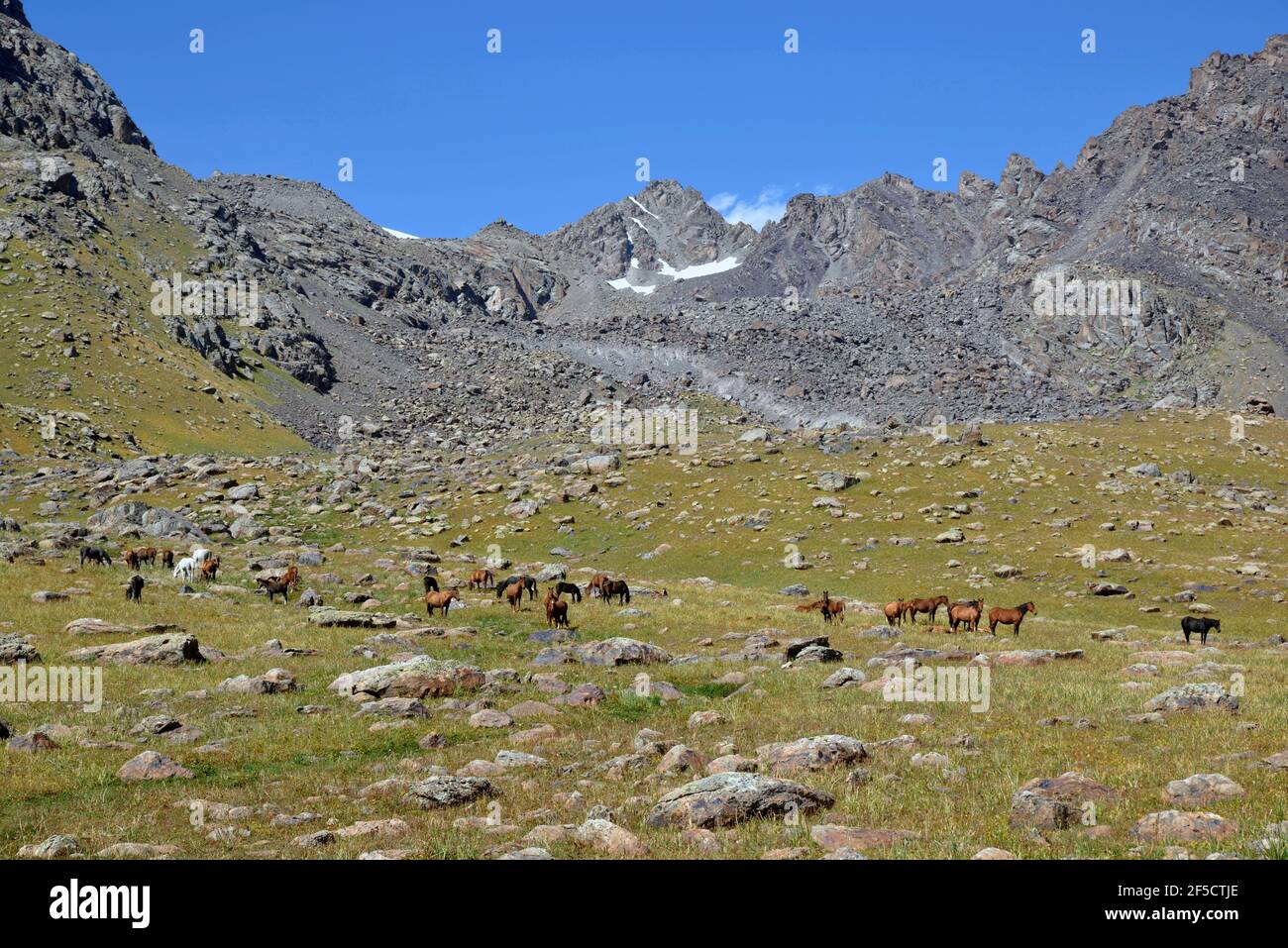 geography / travel, Kyrgyzstan (Kirgizia, horse, West Karakol Valley, Tien-Shan Mountains, area Naryn, Additional-Rights-Clearance-Info-Not-Available Stock Photo