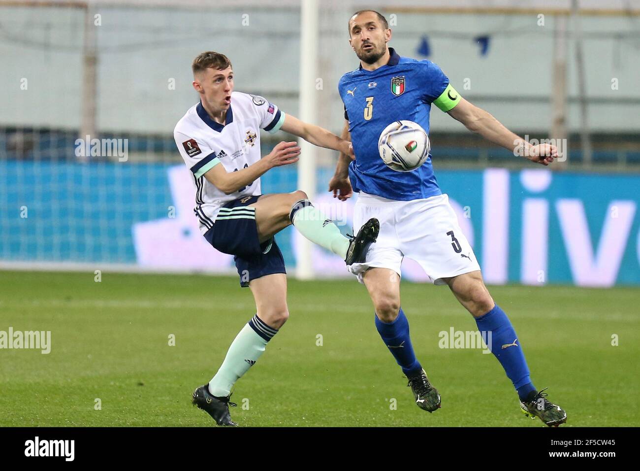 Gavin Whyte of Northern Ireland and Giorgio Chiellini of Italy during the FIFA World Cup 2022, Qualifiers Group C football match between Italy and Northern Ireland on March 25, 2021 at Ennio Tardini stadium in Parma, Italy - Photo Laurent Lairys / DPPI / LiveMedia Stock Photo