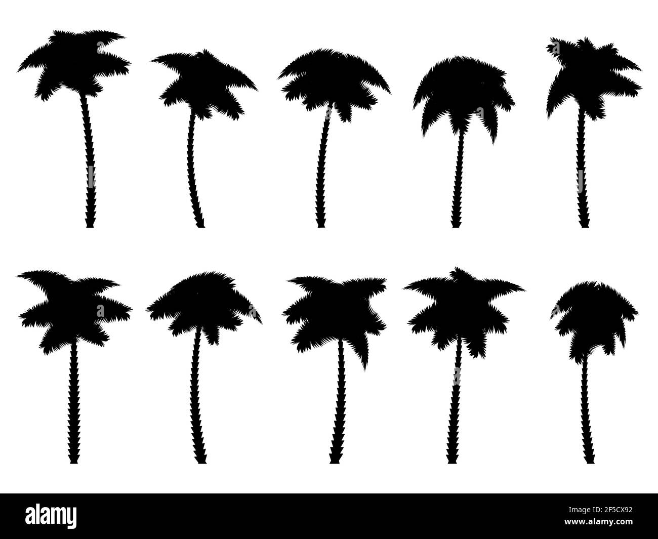 Black palm trees set isolated on white background. Palm silhouettes