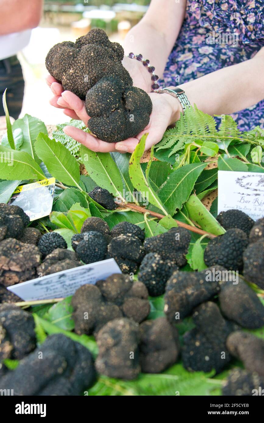 Black truffles and mushroom hires stock photography and images Alamy