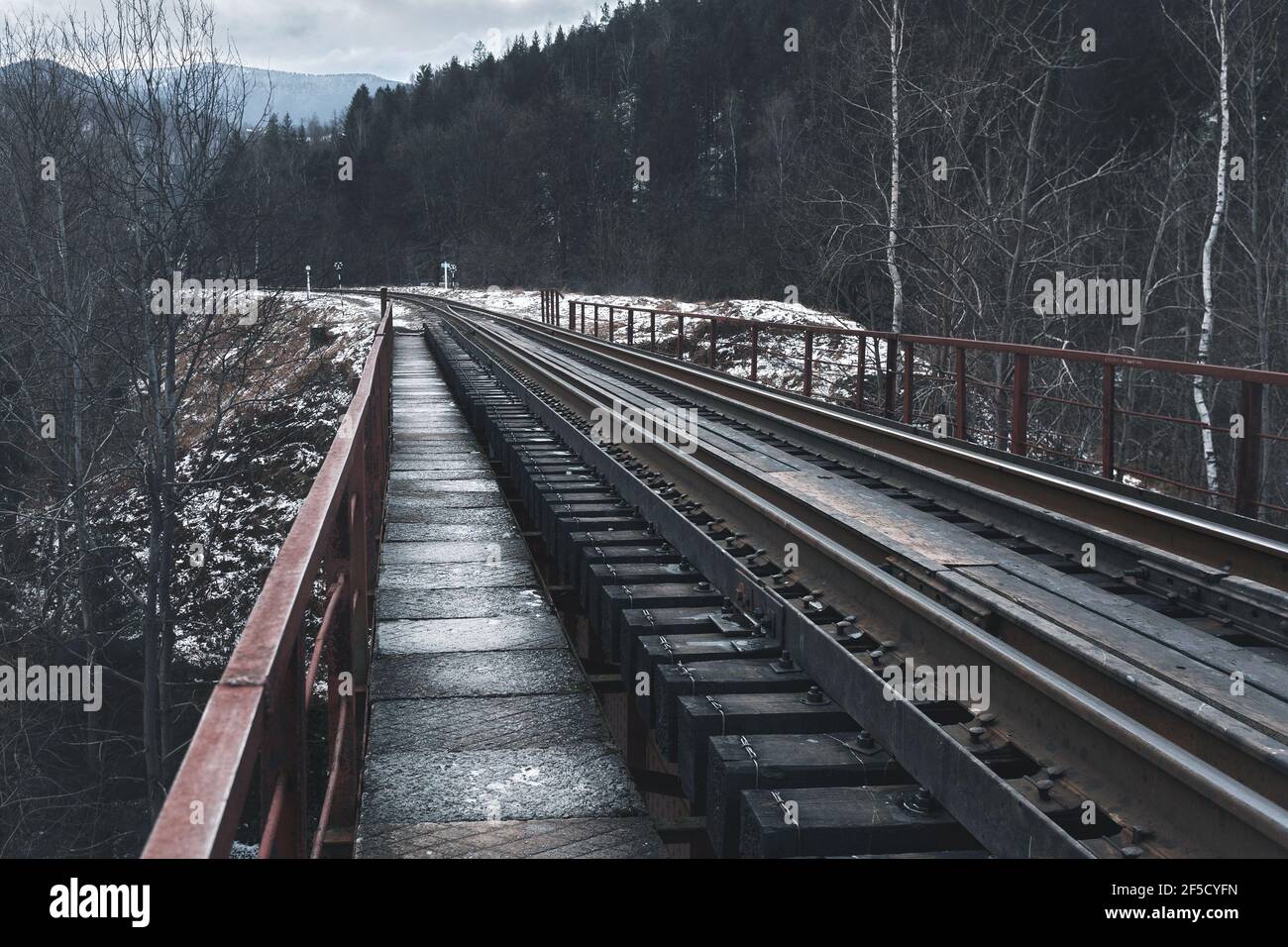 Railway bridge among snowy mountains. Travels. Transport. Stock Photo
