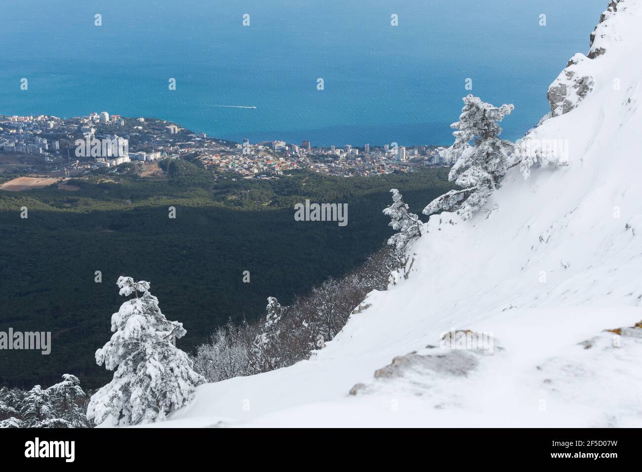 Winter landscape with snow-covered pine trees on the slopes in the mountains of Crimea. Charming fabulous view from Ai-Petri mountain to Alupka. The c Stock Photo
