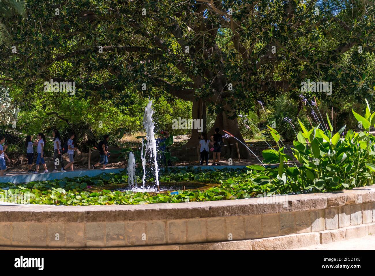 botanical garden of Cagliari, Sardinia Stock Photo Alamy