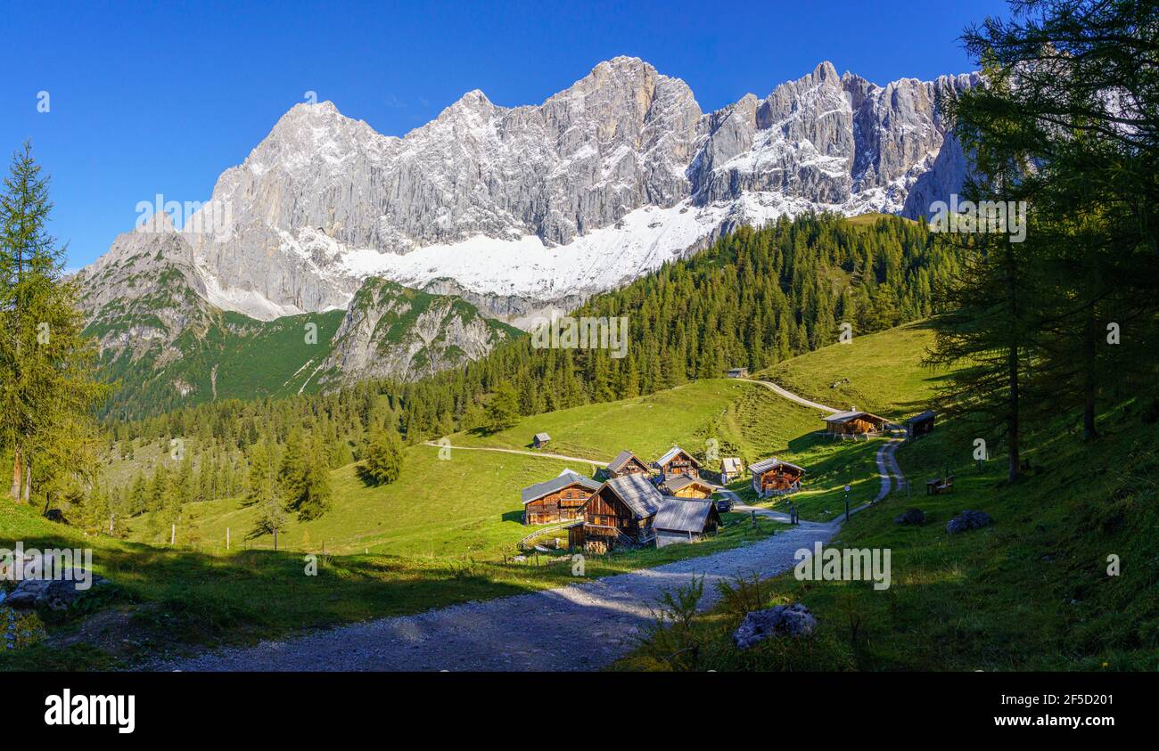 Alpine huts on Neustattalm in front of the rock faces of Dachstein in