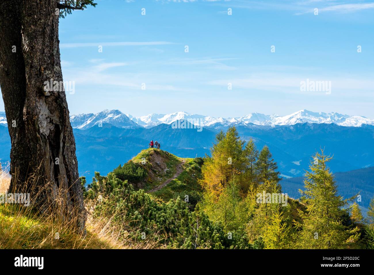 View over a high pasture in autumn towards the snow covered mountain tops of the Low Tauern. Stock Photo