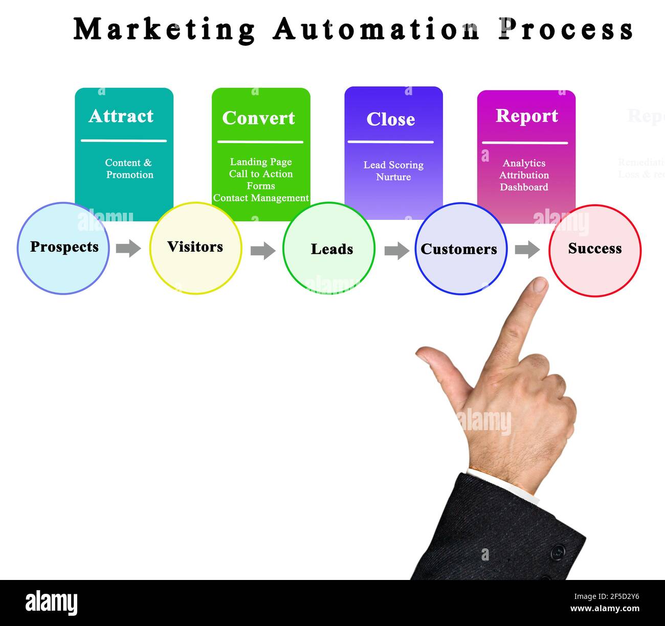 Components of marketing automation process Stock Photo - Alamy