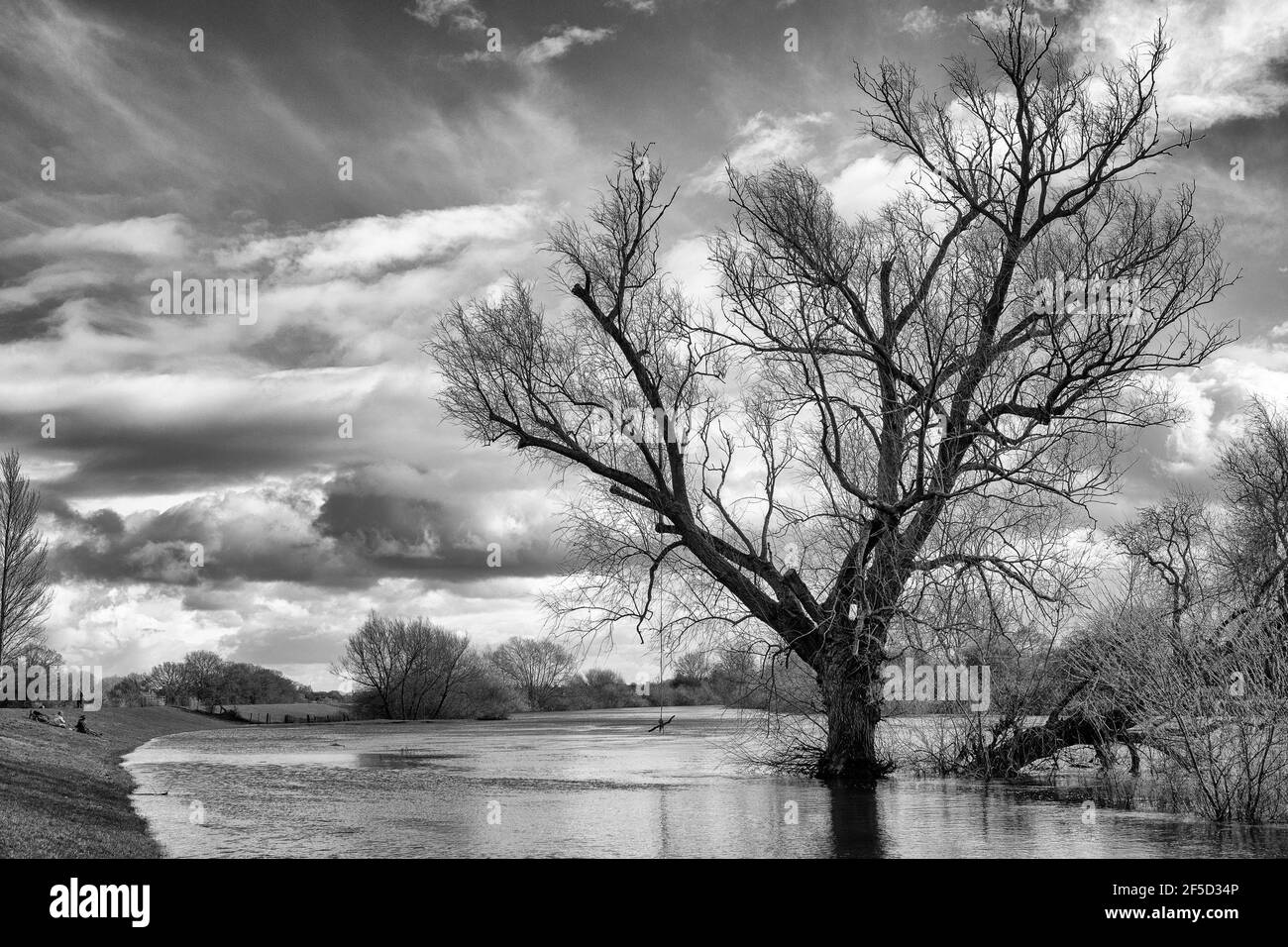 Out of reach above a Spring flood, River Ouse, Clifton Ings, York, UK Stock Photo