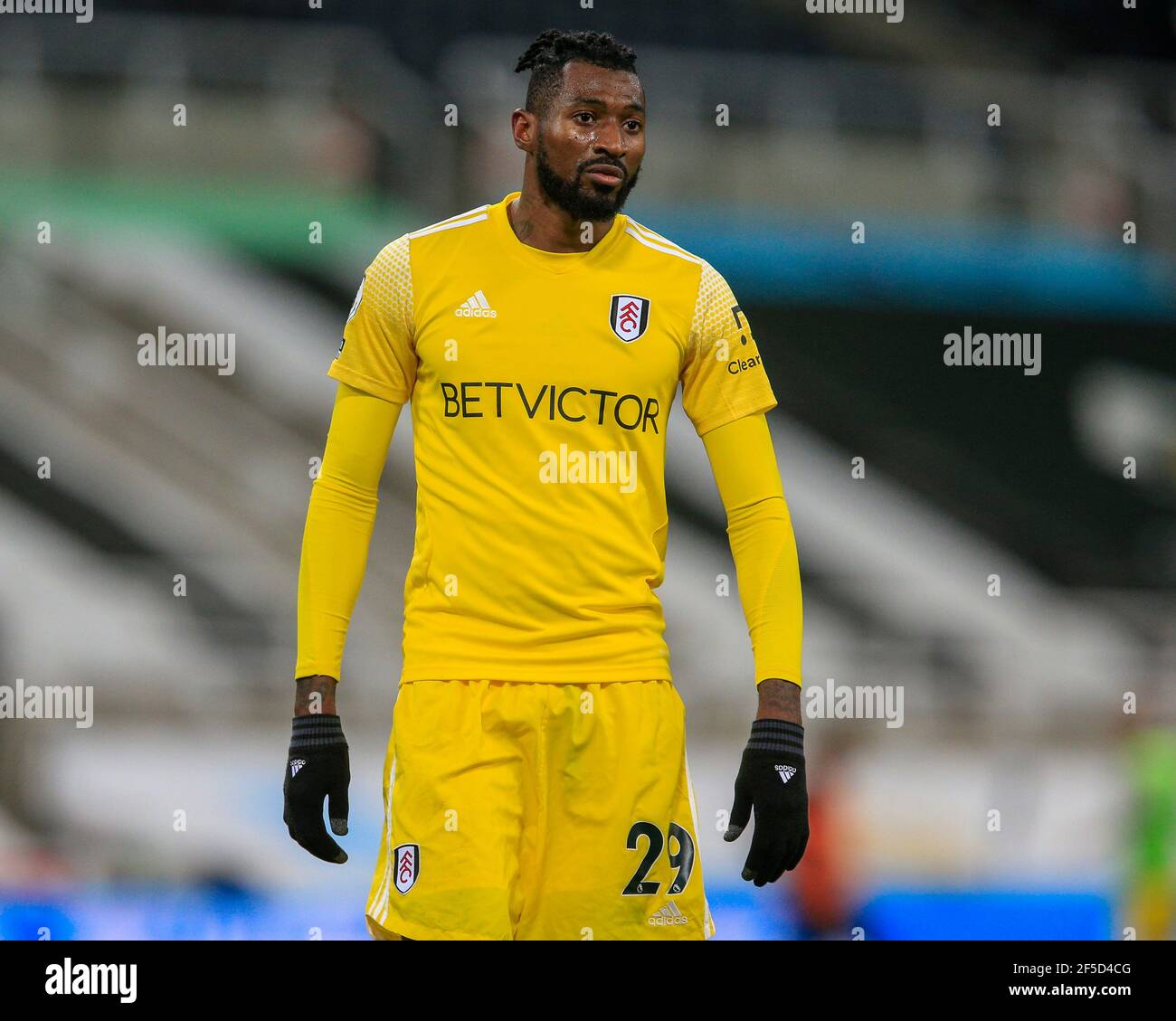 Andre Frank Zambo Anguissa 29 Of Fulham During The Game Stock Photo Alamy