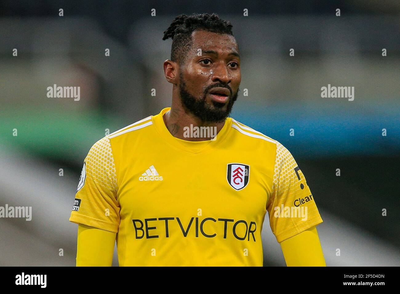 Zambo Anguissa High Resolution Stock Photography And Images Alamy