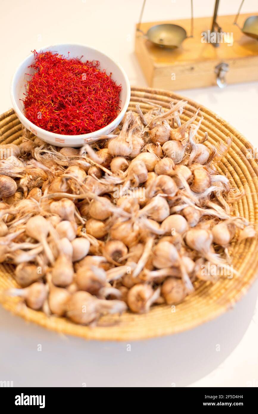 Saffran and bulbs, flowers and saffron spice Stock Photo Alamy