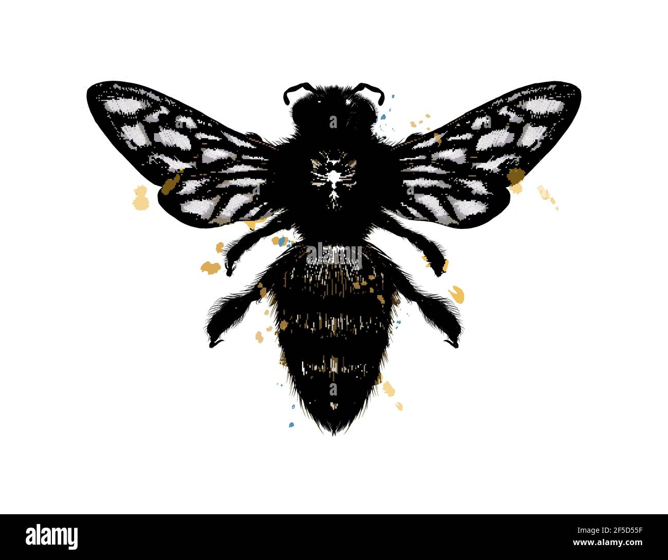 Bee, wasp from a splash of watercolor, colored drawing, realistic. Vector illustration of paints Stock Vector