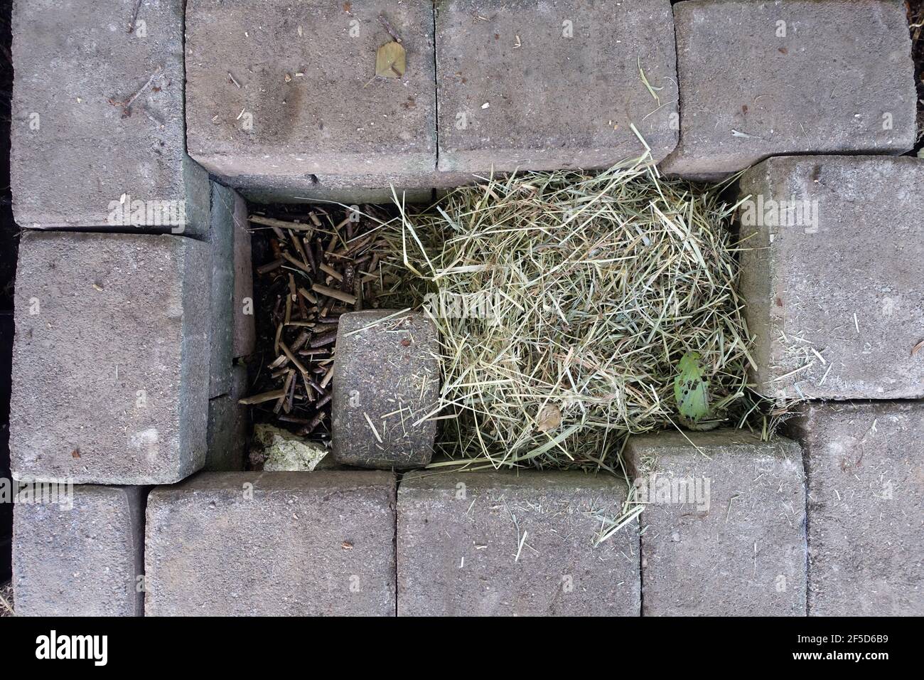 Western hedgehog, European hedgehog (Erinaceus europaeus), view into a hedgehog house from above, without roof yet, Germany Stock Photo